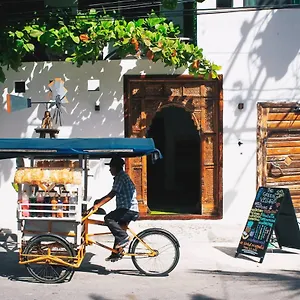 Отель The Village Boutique Плая-дель-Кармен