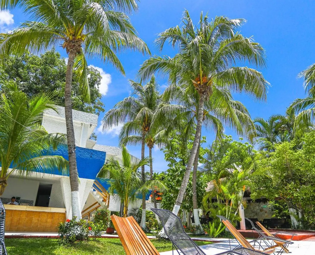 Hotel Caribe Internacional Cancun