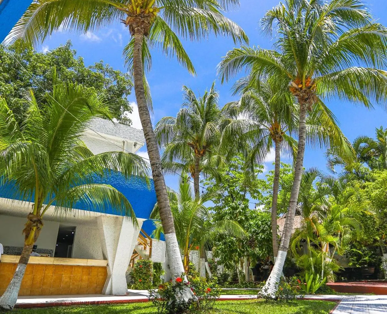 Hotel Caribe Internacional Cancun 3*,